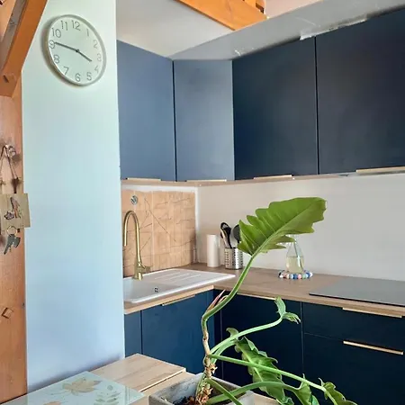 Superbe Pied Des Pistes- Linge De Maison Non Fourni *